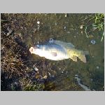 Tust 13.10.2008-30.JPG